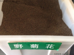 「野菊花種子」最新野菊花種子_價(jià)格_圖片_種植