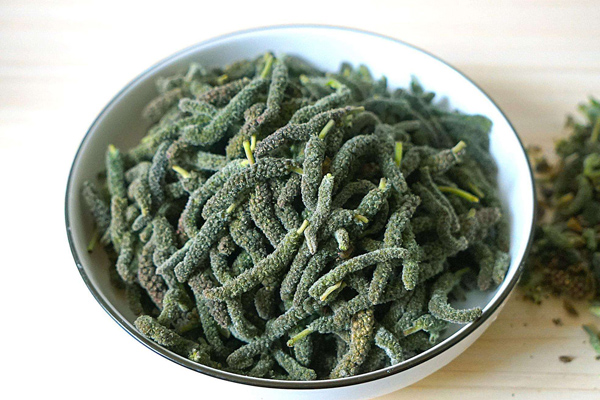 構(gòu)樹(shù)花 構(gòu)樹(shù)花